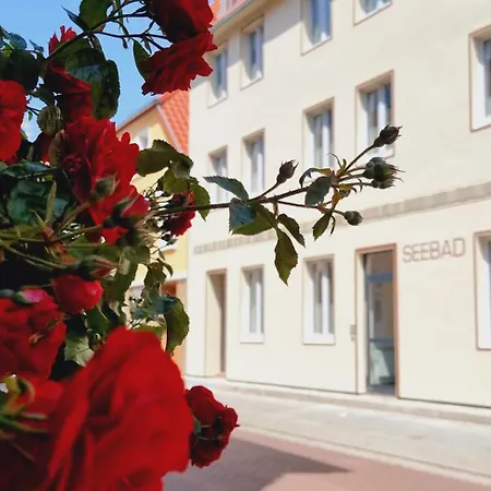 Fewo Haus Seebad Appartamento *